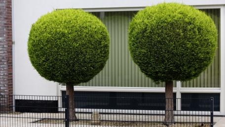 Urban Landscaping wallpaper