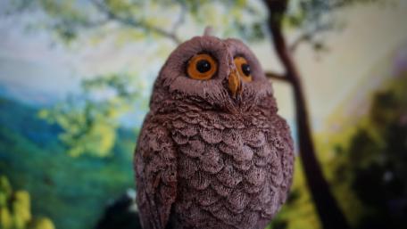 Stone owl wallpaper