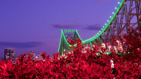 Vibrant City Bridge Under Twilight Sky wallpaper