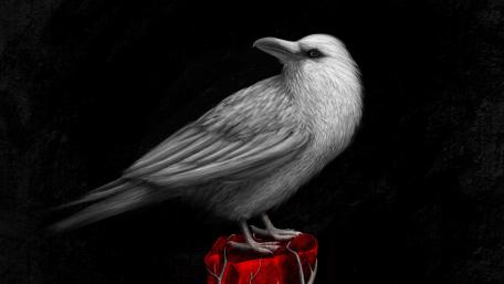 White Raven wallpaper
