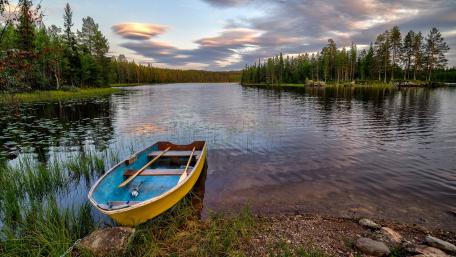 Rowing boat in the lakeside wallpaper