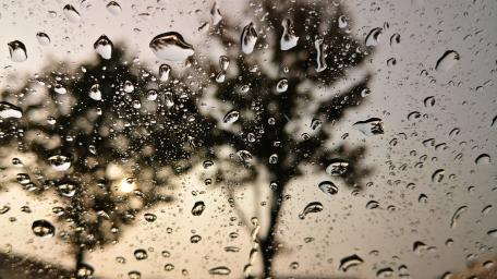 Nature's Serenity Through Raindrops wallpaper