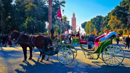 مراكش الحمراء Marrakech wallpaper