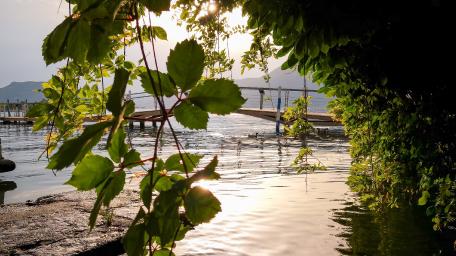 iseo wallpaper