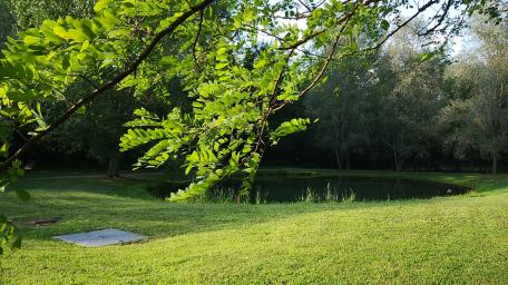Serene Nature Escape in Greenery and Reflection wallpaper
