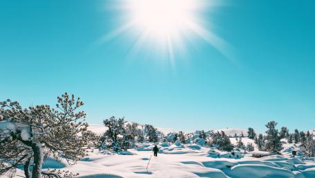 Sun Rise in Snowing Winter wallpaper