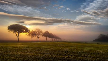Golden Sunrise Over Misty Fields wallpaper