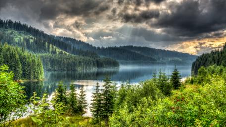Misty Mountain Lake Serenity wallpaper