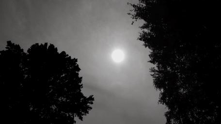 Mysterious Monochrome Moonlight Scene wallpaper