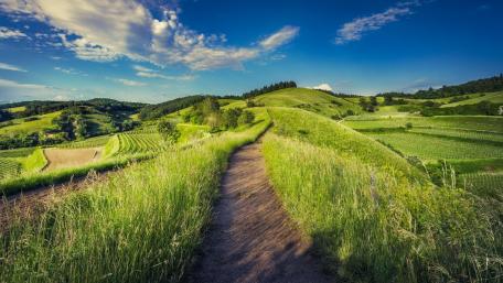 Path in the hills wallpaper