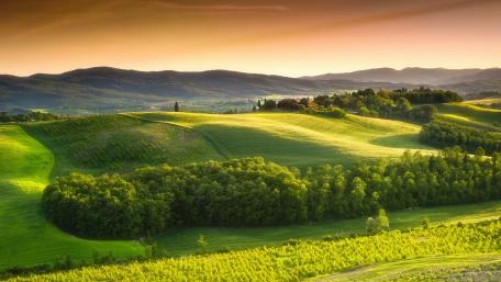 Serene Sunset Over Lush Green Hills wallpaper