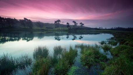 Purple Serenity at Dusk wallpaper