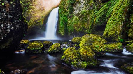 Serene Waterfall in Mossy Gorge wallpaper