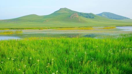 Tranquil Green Basin and Rolling Hills wallpaper