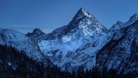 Winter's Blue Majesty wallpaper