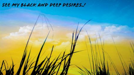 Sunset Whispers in Nature's Embrace wallpaper