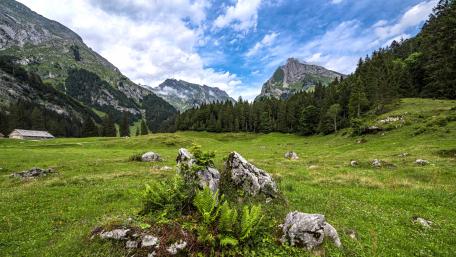 Beauty and peace of Switzerland nature wallpaper