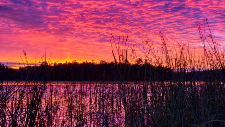 Vibrant Sunset Over Tranquil Lake wallpaper