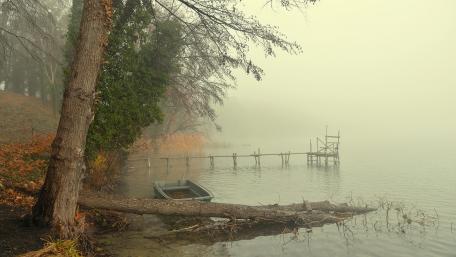 Misty Lake Shore in Autumn Serenity wallpaper