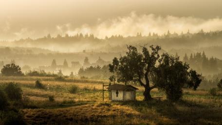 Serenity in the Misty Landscape wallpaper