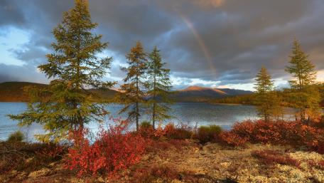 Serene Nature Scene with Rainbow Over Waterway wallpaper