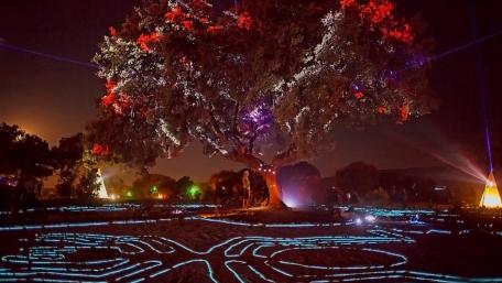 psychedelic trance party wallpaper