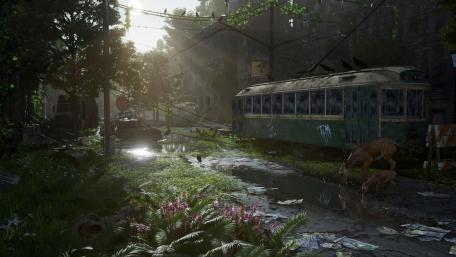 Post Apocalyptic Nature wallpaper