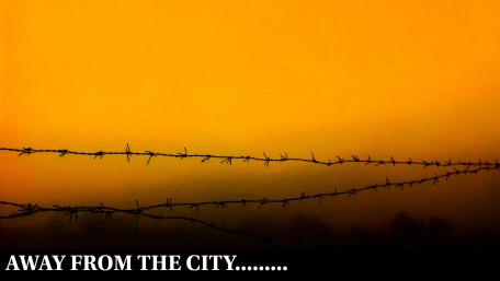 away from the city wallpaper