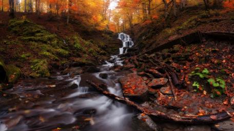 Autumn Serenade by a Forest Waterfall wallpaper