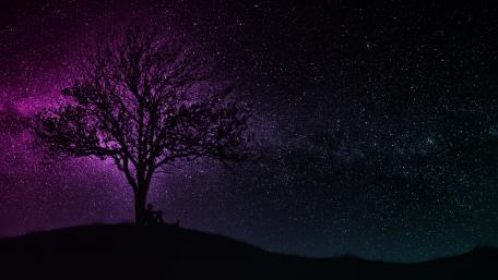 Solitary Tree Under a Star-Scattered Sky wallpaper