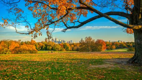 Autumn Splendor Amidst the City wallpaper