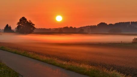 Serene Sunrise Over Misty Fields wallpaper