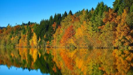 Autumn Reflections by the Lake's Edge wallpaper