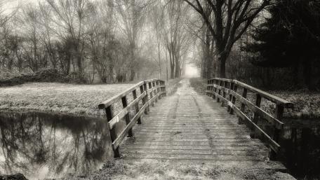 Mysterious Foggy Bridge Over Calm Waters wallpaper