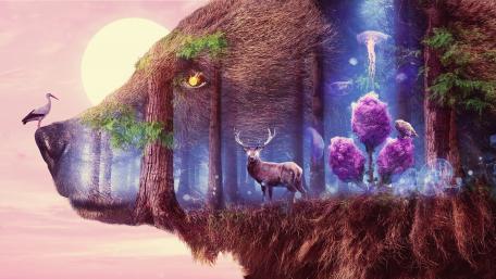 Fantasy Forest wallpaper