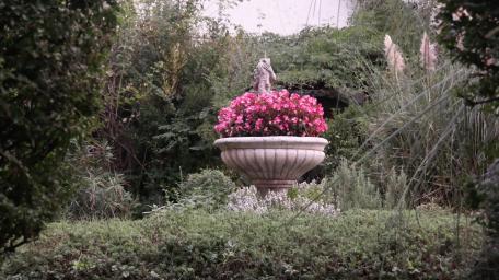 Serene Garden with Flowering Pot wallpaper