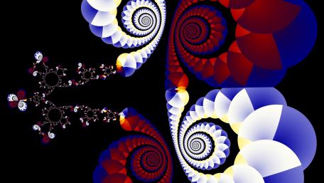 red an white flowers wallpaper