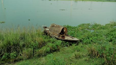 Bangladeshi Nature wallpaper