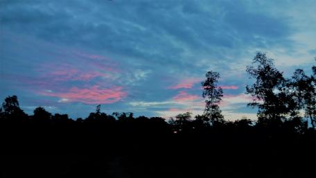 Serene Twilight Over a Forest Landscape wallpaper