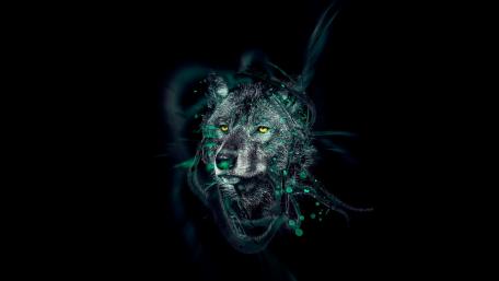Wolf head wallpaper