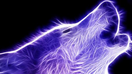 Mystical Azure Energy Wolf wallpaper