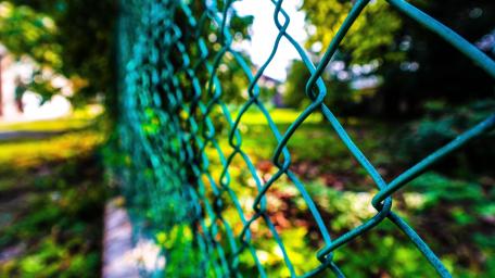 Serene Nature Behind the Fence wallpaper