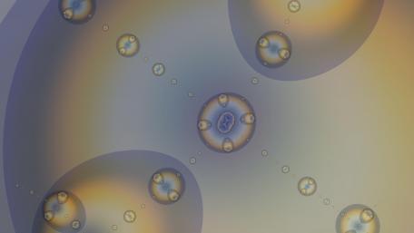 bubbles at the midget wallpaper