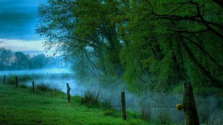 Misty Morning Along the Riverbank wallpaper