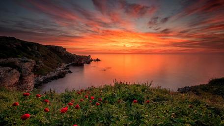 Sunset Serenity by the Sea wallpaper