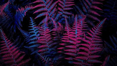 Neon Fern Oasis wallpaper