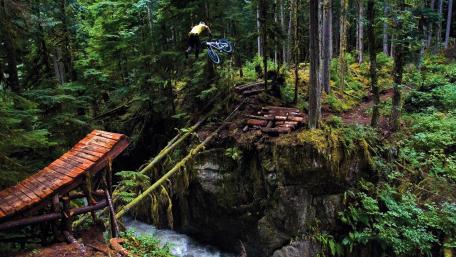 Extreme Mountain Biking Adventure in Dense Forests wallpaper