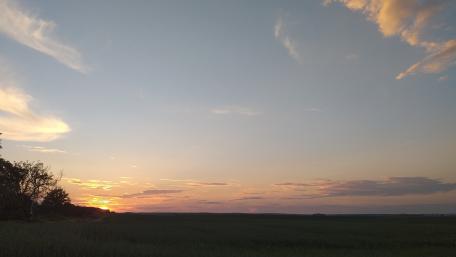 Serene Sunset Over Tranquil Fields wallpaper