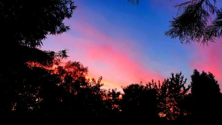 Sunrise wallpaper
