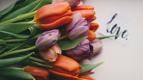 Tulips with love wallpaper